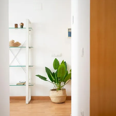 Singularstays Edificio La Pergola * Castellón de la Plana